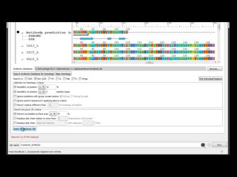 BioLuminate - Antibody Modeling (Part 2 - Humanizing Antibodies by Residue Mutation)
