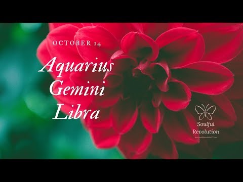 They're showing you the next step on your path, AIR Sign Oct 14 Gemini Libra Aquarius