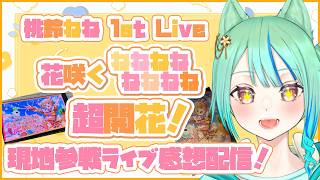 【感想配信】※ｾﾄﾘﾈﾀﾊﾞﾚ有　現地参加！桃鈴ねねさん1stLive「花咲くねねねねねねねね超開花！」ライブ感想雑談🍑🥟【春藤橘】