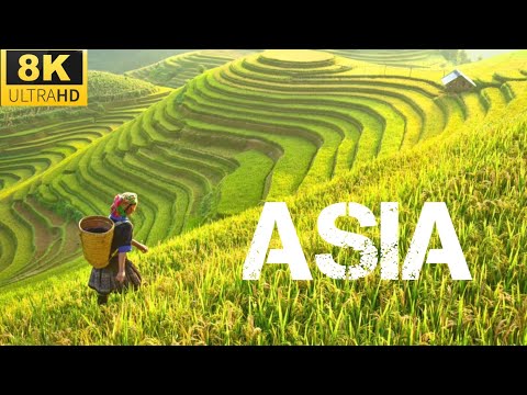Asia is the Largest Continent on Earth HDR 10+ 8k & 4k video demo | Neo Qled 8k