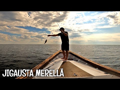 PERCH FROM THE OPEN SEA - A BIG FISH SURPRISED THE FISHERMAN