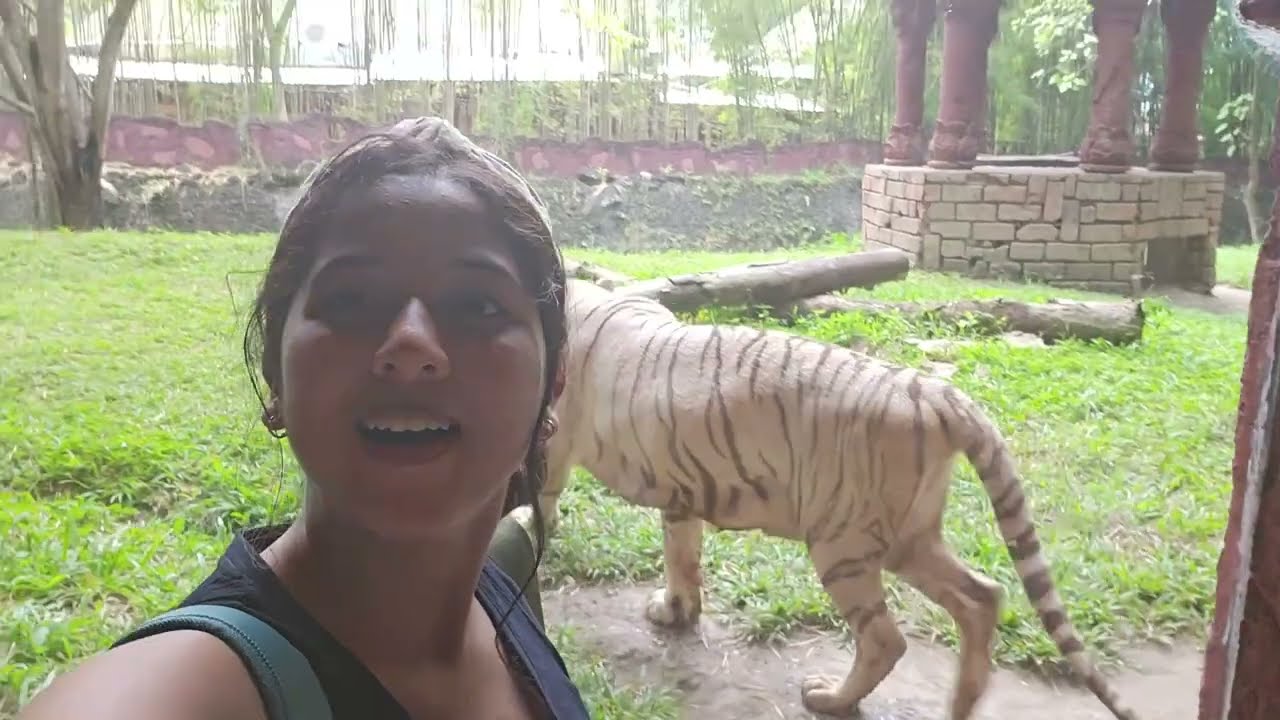 Discover the wonder of Bali Safari & Marine Park, an unforgettable tourist delight.