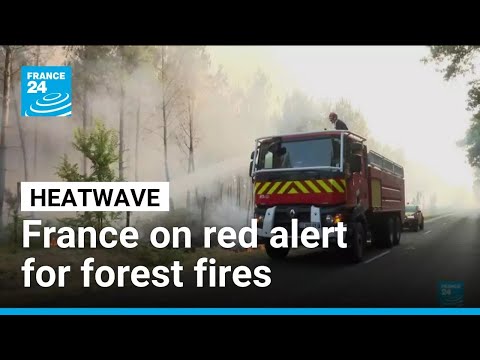 France on red alert for forest fires amid extreme heat