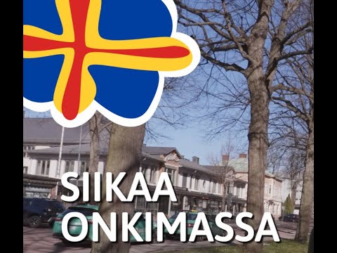 Siikaa onkimassa Ahvenanmaalla