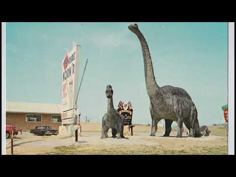 Dinosaur Land History