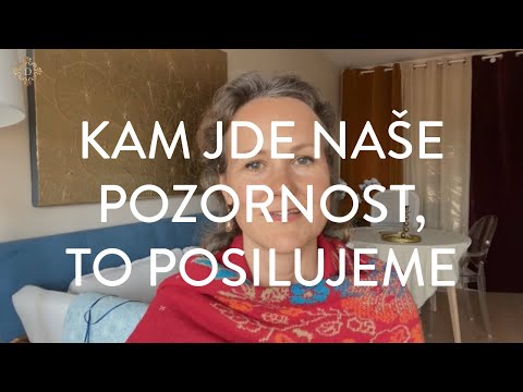 DENISA ŘÍHA PALEČKOVÁ - Kam jde naše pozornost, to posilujeme