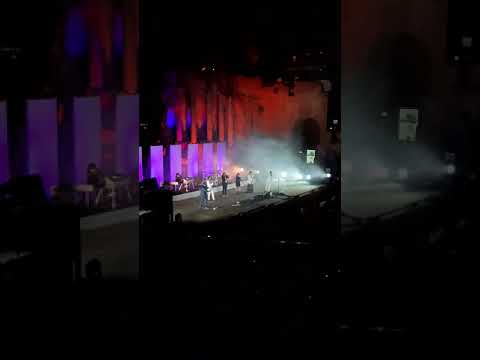 Colapesce, Dimartino feat. Carmen Consoli, Brunori, LRDL - L'animale (Battiato)