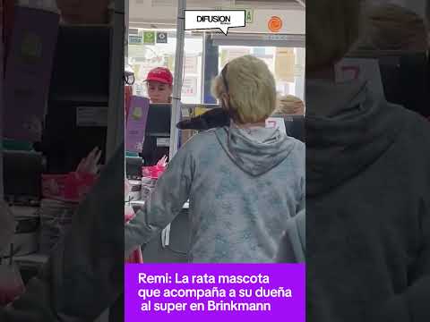 #Viral #Brinkmann Remi: La rata mascota que acompaña a su dueña al super