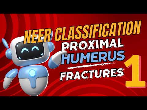 Basic Concepts of Neer Classification