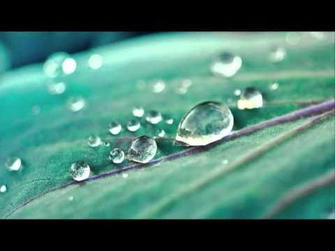 Didone Abbandonata (sonata para violin y bajo continuo)