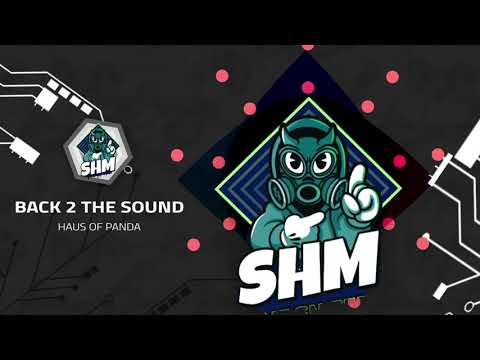 HAUS OF PANDA - BACK 2 THE SOUND [SPEED HOUSE MUSIC]