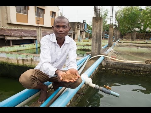 , title : 'Nigeria’s Fish Farmers Take New Paths to Profitability'