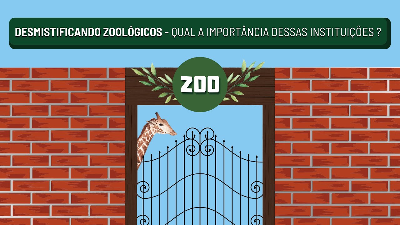 Desmistificando Zoológicos: Qual a importância dessas instituições?