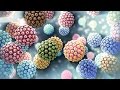 Human Papillomavirus | HPV | Nucleus Health
