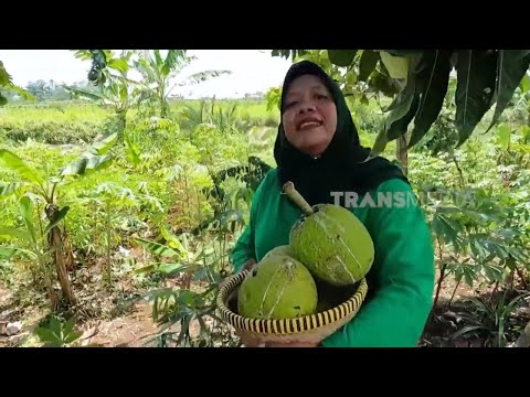 [FULL] MASAKAN UNIK ALA EMAK ENAH | ENAH BIKIN ENAK (18/07/24)