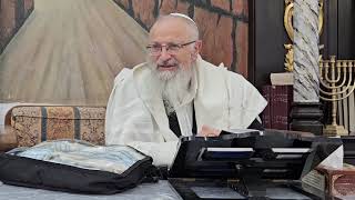 מלחמת האמת והשקר | הרב שמואל אליהו | הלכה יומית | כ"ח סיון תשפ"ד (הרב שמואל אליהו) - התמונה מוצגת ישירות מתוך אתר האינטרנט יוטיוב. זכויות היוצרים בתמונה שייכות ליוצרה. קישור קרדיט למקור התוכן נמצא בתוך דף הסרטון