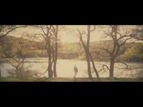 MAD FOX - Fade Into The Sun (Official Music Video)