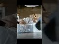 Katrina Kaif Shah Rukh Khan Sex Ytshort Tending Badsha Ytshortsvideo Ytshortsindia