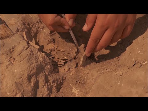 Israeli Teens Discover Hundreds of Rare Gold Coins in Archaeological Dig
