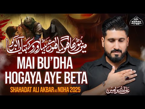 Nohay 2025 | Main Budha Ho Gaya Aye Beta | Ali Akbar Ameen | Noha Shahadat Ali Akbar 2025 | New Noha
