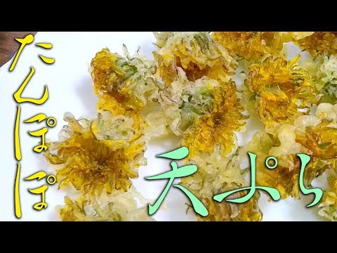 庭で採れたタンポポを食べてもいいですか？彼らの利点は何ですか?どのように選んで保管すればよいでしょうか？  庭園