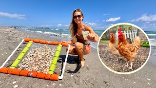 How to Catch Sand Fleas, Sharks Teeth and Some Bad News..