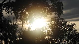 Better Than Ever by D.Mus & Ellen Greene: Pilote - Turtle (Bonobo mix) vocal cover