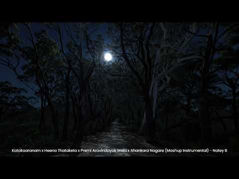 Katakaaranam x Heena Thataketa x Premi Aravindayak Wela  x Ahankara Nagare (Instrumental) - Natey B