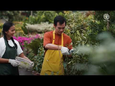 Life in a Green City