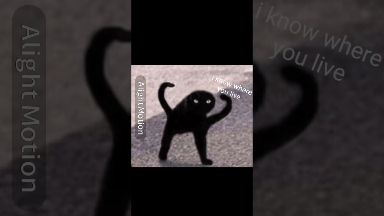 … #catmeme #funny #wallpaper #trending #cat