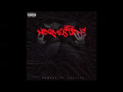Namz60 x Celly14 - No Questions (Audio)