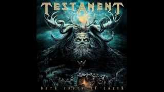 Testament - Cold Embrace