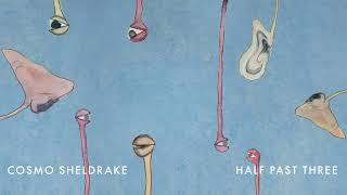 Cosmo Sheldrake - Half Past Three