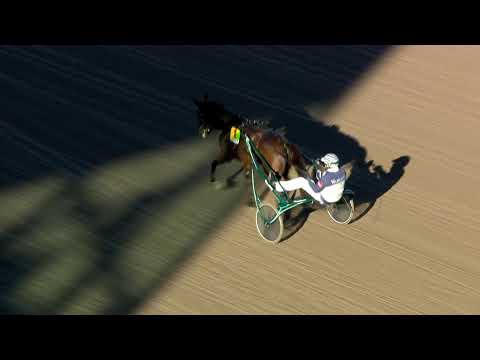 Calgary Games i snabbjobb 2022-10-23