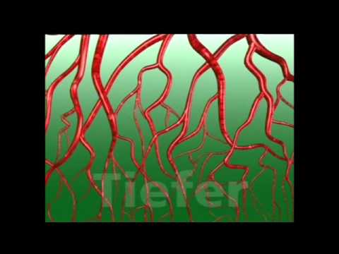 Fagorutin - TV Spot von #Hinnerick Bröskamp