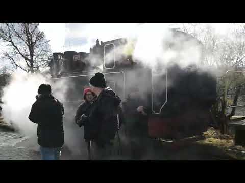 Mocănița Brad - Crișcior tren marfă