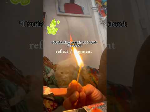 🎂 She was born in Seville to watch over me — Tana’s birthday 🐾