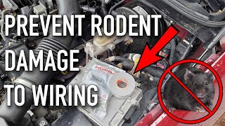 How To Prevent Rodent Damage To Vehicle Wiring