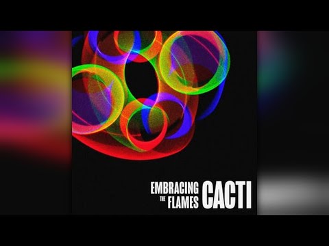 POP | Cacti - Lost Someone | LYRICS IN D