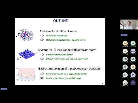 Direct Observation of the Three-Dimensional Anderson Transition