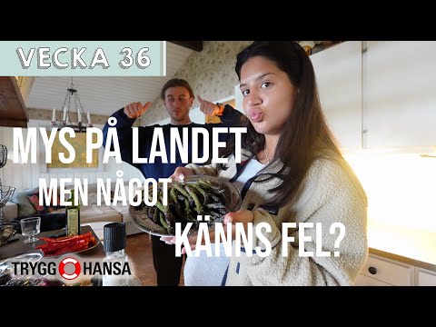 MYS PÅ LANDET MEN NÅGOT KÄNNS FEL - Emelie Feola vecka 36