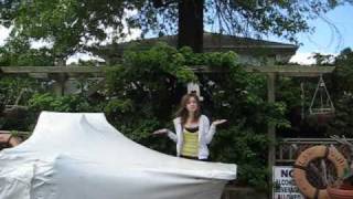 Brighter Lights (1st place!!!)  [Emilyosaurus Contest]