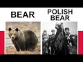 POLAND MEMES