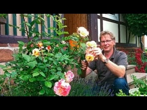 (HD) NaturNah - Der Pflanzendoktor (DOKU)