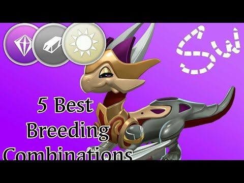 Chevalier Dragon | 5 Best Breeding Combinations | Dml