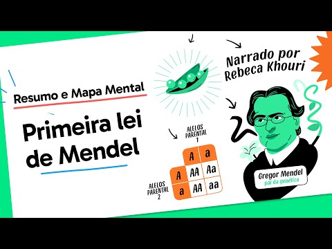 Mendel's Experiment: How the Laws of Genetics Changed Science | Biology for Enem