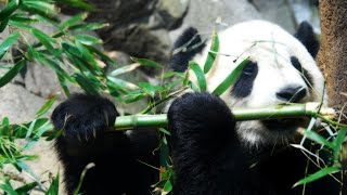 Kris Kasanova - Finessin [FREE DOWNLOAD]