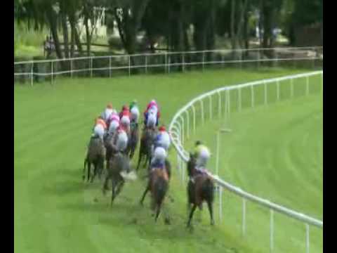 2016.07.17 Bratislavská míľa (SVK) - Tamarind Cove