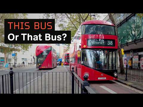 Articulated, Double-Decker, or the Original? A Guide to Bus Selection