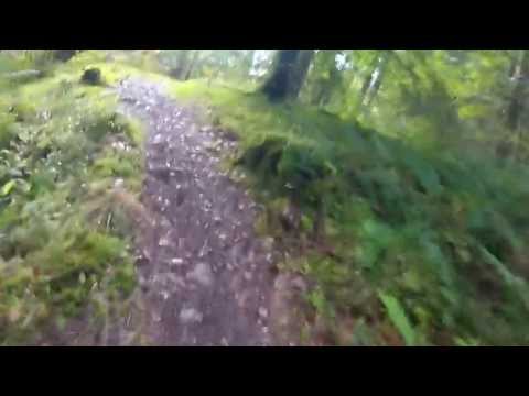 The good the great and the rooty mountain bike Drumlanrig